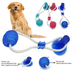 Dogs Interactive Suction Cup Push Ball