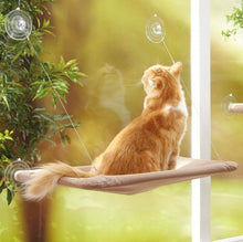 Load image into Gallery viewer, Cute Cats Hanging Beds
